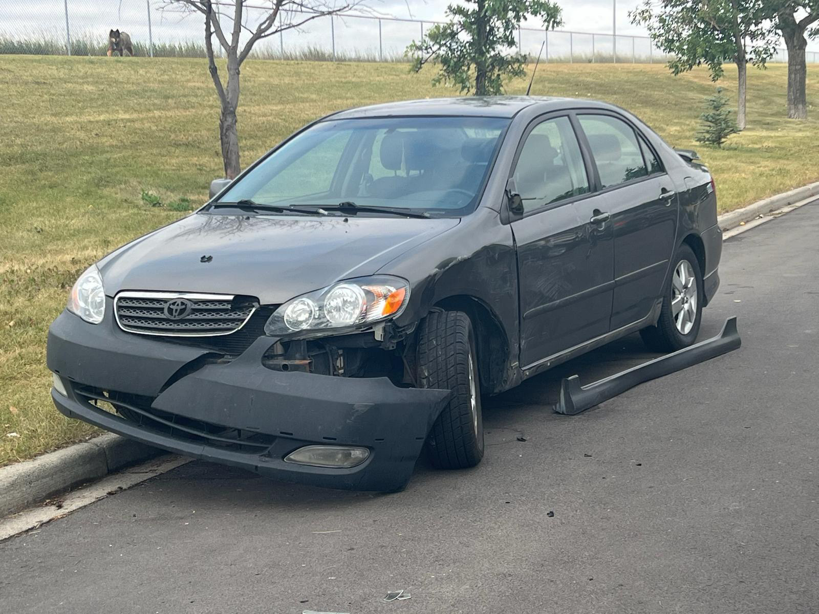 Home 5 cash for scrap cars